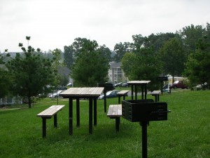 Picnic Area with BBQ Grills